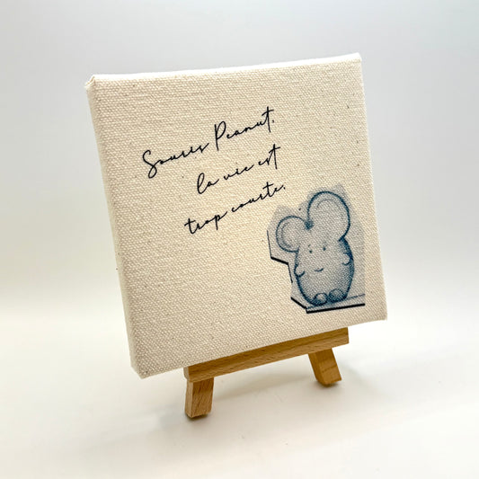 Souris Peanut - The beginning